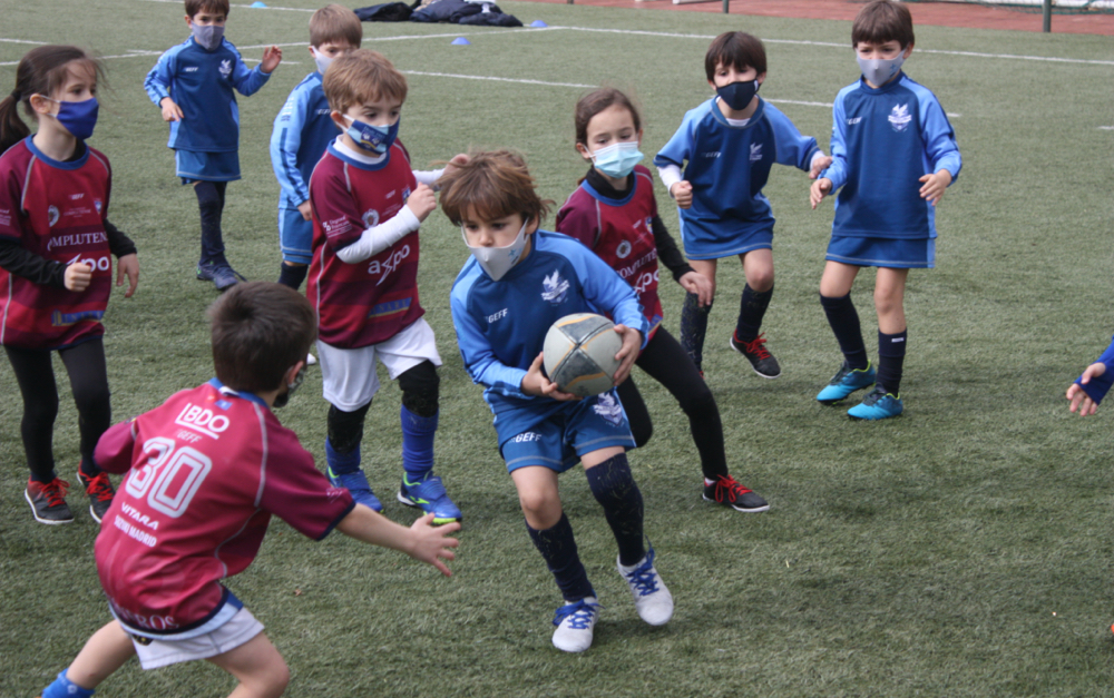 rugby-smarts-stella-maris