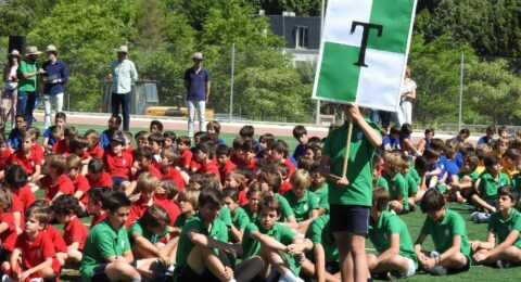 Fiesta del colegio